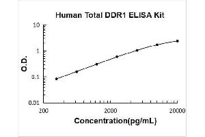 Discoidin Domain Receptor tyrosine Kinase 1 (DDR1) ELISA Kit