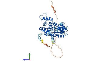 AlphaFold protein structure predicition of Mouse Recombinant Chst14 Protein, UniprotID Q80V53
