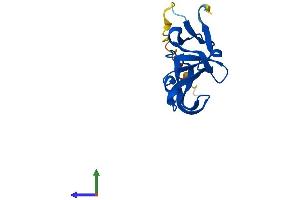 AlphaFold protein structure predicition of Human Recombinant YPEL4 Protein, UniprotID Q96NS1
