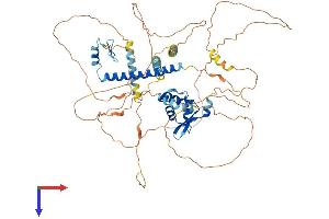 AlphaFold protein structure predicition of Human Recombinant FOXP4 Protein, UniprotID Q8IVH2