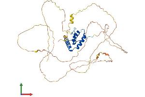 AlphaFold protein structure predicition of Mouse Recombinant Sox4 Protein, UniprotID Q06831