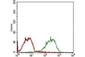 Flow cytometric analysis of MCF-7 cells using RELB mouse mAb (green) and negative control (red).