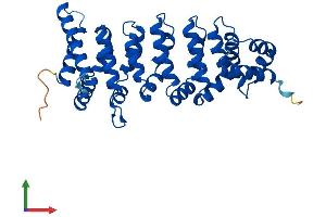 AlphaFold protein structure predicition of Human Recombinant CAB39 Protein, UniprotID Q9Y376