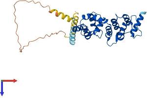AlphaFold protein structure predicition of Human Recombinant DCUN1D4 Protein, UniprotID Q92564
