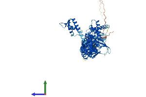 AlphaFold protein structure predicition of Human Recombinant CUL4A Protein, UniprotID Q13619