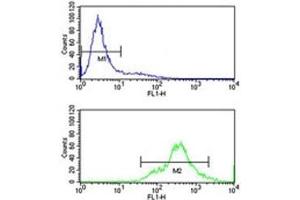 HuR antibody flow cytometry analysis of Jurkat cells (bottom histogram) compared to a negative control (top histogram).