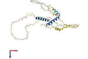 AlphaFold protein structure predicition of Human Recombinant MESP1 Protein, UniprotID Q9BRJ9