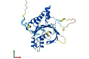 AlphaFold protein structure predicition of Human Recombinant XRCC2 Protein, UniprotID O43543