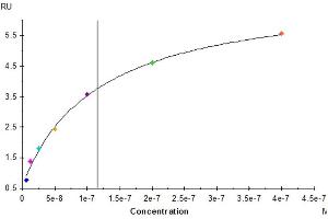 Human LILRB4, hFc Tag captured on CM5 Chip via Protein A can bind Human APOE, His Tag with an affinity constant of 115.