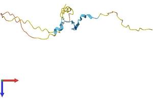 AlphaFold protein structure predicition of Mouse Recombinant Prr15 Protein, UniprotID Q9D1T5