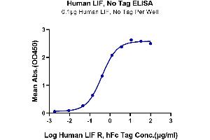 Immobilized Human LIF at 1 μg/mL (100 μL/Well) on the plate.
