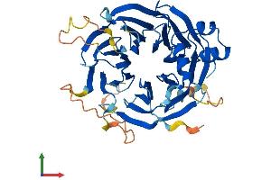 AlphaFold protein structure predicition of Human Recombinant WSB2 Protein, UniprotID Q9NYS7