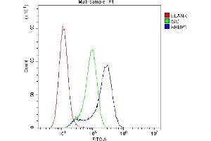 Flow Cytometry analysis of A549 cells using anti-RRBP1 antibody (ABIN6719628).