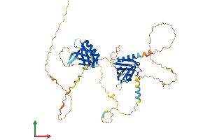 AlphaFold protein structure predicition of Mouse Recombinant Dok1 Protein, UniprotID P97465