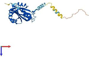 AlphaFold protein structure predicition of Mouse Recombinant Naa60 Protein, UniprotID Q9DBU2