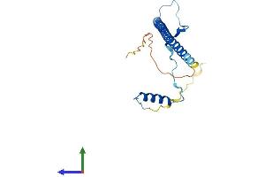 AlphaFold protein structure predicition of Human Recombinant PRKRIP1 Protein, UniprotID Q9H875