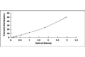 Typical standard curve (Laminin beta 3 Kit ELISA)