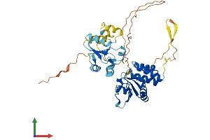 AlphaFold protein structure predicition of Mouse Recombinant Dusp6 Protein, UniprotID Q9DBB1