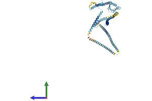 AlphaFold protein structure predicition of Mouse Recombinant Mad1l1 Protein, UniprotID Q9WTX8