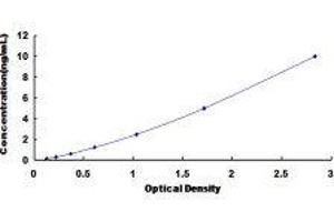ELISA image for Cytochrome P450, Family 1, Subfamily A, Polypeptide 2 (CYP1A2) ELISA Kit (ABIN418985)