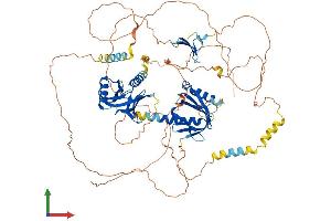 AlphaFold protein structure predicition of Human Recombinant APBB2 Protein, UniprotID Q92870