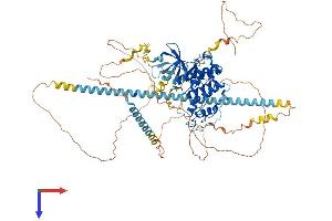 AlphaFold protein structure predicition of Mouse Recombinant Cdk11b Protein, UniprotID P24788
