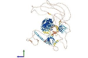 AlphaFold protein structure predicition of Human Recombinant TJP2 Protein, UniprotID Q9UDY2