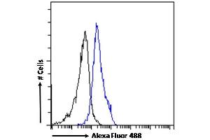 (ABIN184909) Flow cytometric analysis of paraformaldehyde fixed HEK293 cells (blue line), permeabilized with 0. (CECR2 anticorps  (C-Term))