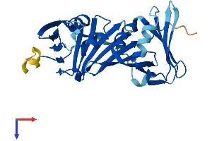 AlphaFold protein structure predicition of Mouse Recombinant Rad1 Protein, UniprotID Q9QWZ1