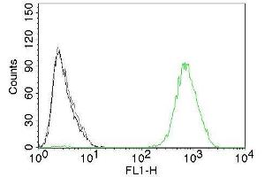 Flow Cytometry of human EGFR on A431 cells. (EGFR anticorps  (Extracellular Domain) (CF®488A))