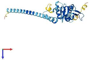 AlphaFold protein structure predicition of Human Recombinant SNF8 Protein, UniprotID Q96H20