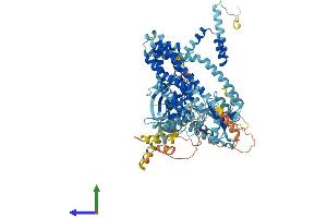 AlphaFold protein structure predicition of Human Recombinant ECT2L Protein, UniprotID Q008S8