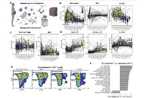 Systems-level analysis of immune development in human newborns.