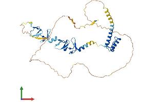 AlphaFold protein structure predicition of Mouse Recombinant Lhx4 Protein, UniprotID P53776