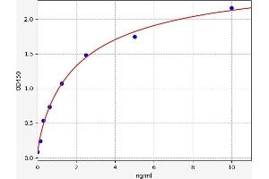 Typical standard curve