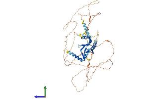 AlphaFold protein structure predicition of Human Recombinant DCP1A Protein, UniprotID Q9NPI6