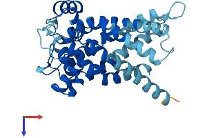 AlphaFold protein structure predicition of Human Recombinant SLC25A35 Protein, UniprotID Q3KQZ1
