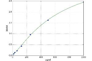 phosphorylase, Glycogen, Brain (GPBB) ELISA Kit