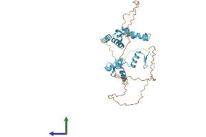 AlphaFold protein structure predicition of Human Recombinant ZNF396 Protein, UniprotID Q96N95