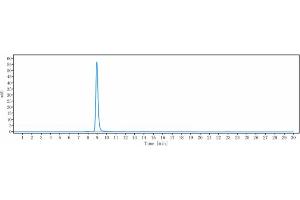 The purity of Anti-RTN4 / NOGO Reference Antibody (atinumab) is more than 95 % , determined by SEC-HPLC. (Recombinant RTN4 (Atinumab Biosimilar) anticorps)