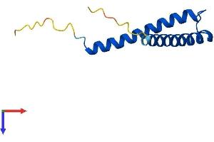 AlphaFold protein structure predicition of Human Recombinant TIMM8A Protein, UniprotID O60220