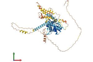 AlphaFold protein structure predicition of Mouse Recombinant Arhgap36 Protein, UniprotID B1AUC7