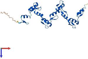 AlphaFold protein structure predicition of Human Recombinant ZNF501 Protein, UniprotID Q96CX3