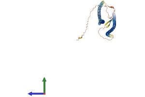 AlphaFold protein structure predicition of Human Recombinant DES Protein, UniprotID P17661