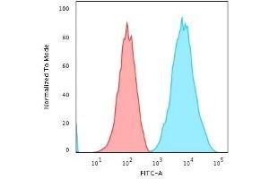 Flow Cytometric Analysis of human Raji cells using HLA-DR Monoclonal Antibody (SPM289) followed by Goat anti-Mouse IgG-CF488 (Blue); Isotype Control (Red).