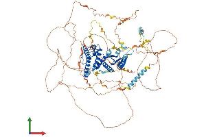 AlphaFold protein structure predicition of Human Recombinant GAS2L2 Protein, UniprotID Q8NHY3