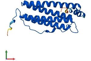 AlphaFold protein structure predicition of Human Recombinant FTH1 Protein, UniprotID P02794