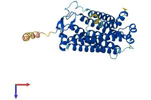 AlphaFold protein structure predicition of Human Recombinant PAQR7 Protein, UniprotID Q86WK9