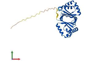 AlphaFold protein structure predicition of Mouse Recombinant Nipsnap3b Protein, UniprotID Q9CQE1