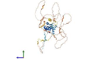 AlphaFold protein structure predicition of Human Recombinant TRAF3IP2 Protein, UniprotID O43734